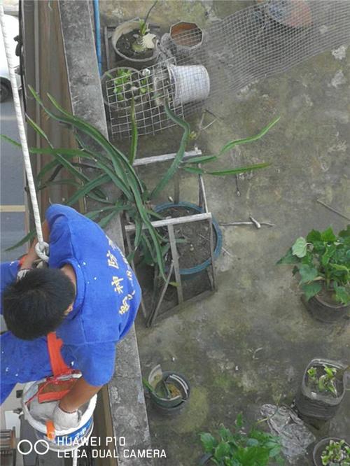 关于申领删除外墙粉刷工程询盘留言及产品编号303966807的确认函